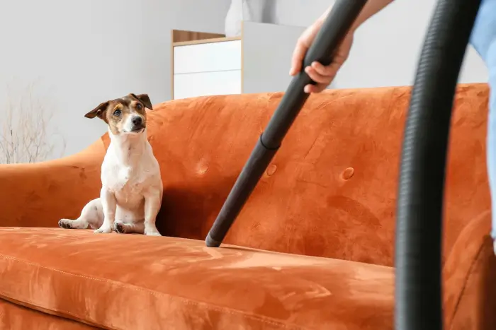 Furniture Cleaning